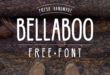 Bellaboo Font 110x75 - Bellaboo Font Free Download