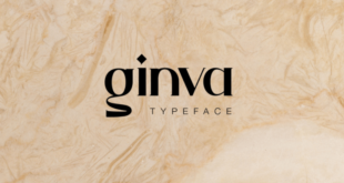 Ginva Font 310x165 - Ginva Serif Font Free Download