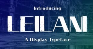 Leilani Typeface Font 310x165 - Leilani Typeface Font Free Download
