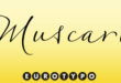 Muscari Font 110x75 - Muscari Font Family Free Download