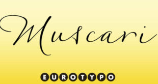 Muscari Font 310x165 - Muscari Font Family Free Download