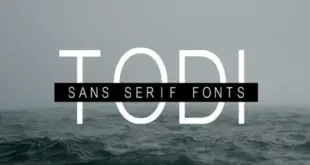 Todi Sans Font 310x165 - Todi Sans Serif Font Free Download