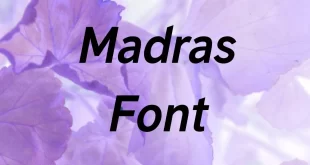 Madras Font