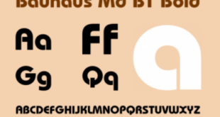 Bauhaus Md BT Bold Font 310x165 - Bauhaus Md BT Bold Font Free Download