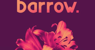 Barrow Display Font 310x165 - Barrow Display Font Free Download