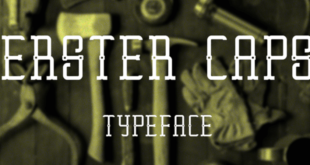 Erster Caps Font 310x165 - Erster Caps Font Free Download