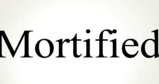 Mortified Font 310x165 - Mortified Font Free Download