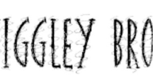 Squiggley Doo Regular Font 310x165 - Squiggley Doo Regular Font Free Download