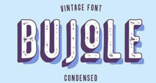 Bujole Vintage Font 310x165 - Bujole Vintage Font Free Download