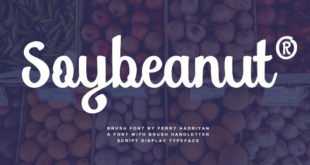 Soybeanut Script Font 310x165 - Soybeanut Script Font Free Download