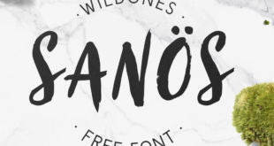 Sanos Font 310x165 - Sanos Brush Font Free Download