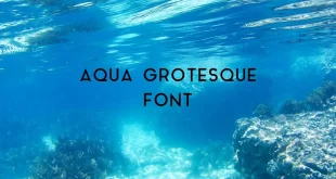 aqua grotesque font feature 310x165 - Aqua Grotesque Font Free Download