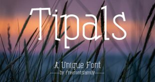 tipals font free 310x165 - Tipals Font Free Download