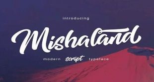 Wild Youth Brush Font