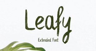 leafy font 310x165 - Leafy Brush Font Free Download