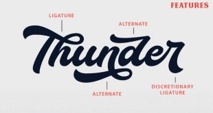 thunder font 310x165 - Thunder Bold Script Font Free Download