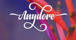 anydore font 310x165 - Anydore Script Font Free Download
