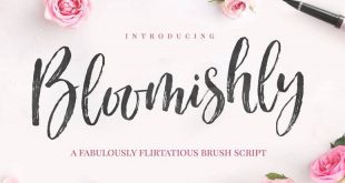 bloomishy font 310x165 - Bloomishly Brush Font Free Download