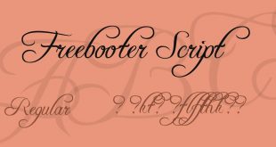 freebooter script font 310x165 - Freebooter Script Font Free Download