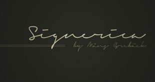 signarica font 310x165 - Signerica Font Free Download