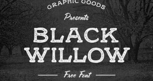 black willow font 310x165 - Black Willow Font Free Download