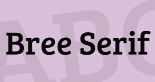 bree serif font 310x165 - Bree Serif Font Free Download