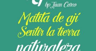 letra hipster 310x165 - Letra Hipster Font Free Download