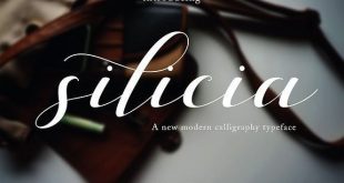 silicia font 310x165 - Silicia Script Font Free Download