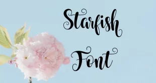 Starfish Font