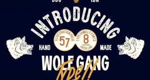 wolf gang 310x165 - Wolf Gang Font Free Download