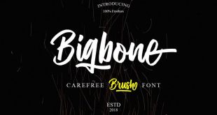 bigbone font 310x165 - Bigbone Brush Font Free Download