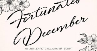 fortunates december font 310x165 - Fortunates December Font Free Download