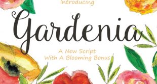 gardenia font 310x165 - Gardenia Script Font Free Download