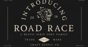 road race font 310x165 - Road Race Typeface Free Download