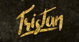 tristan font 310x165 - Tristan Brush Font Free Download