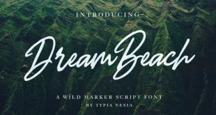 dream beach font 310x165 - Dream Beach Script Font Free Download
