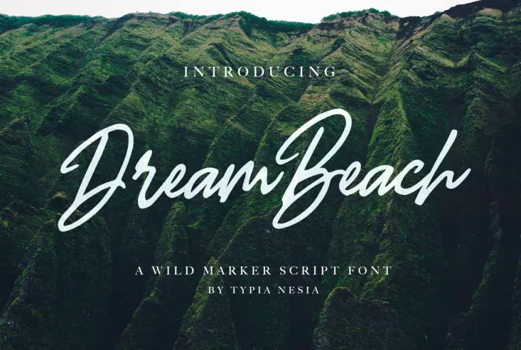 dream beach font - Dream Beach Script Font Free Download