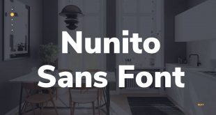 Nunito Sans Font