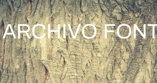 ARCHIVO FONT 310x165 - Archivo Font Free Download