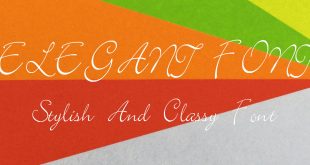 ELEGANT FONT 310x165 - Elegant Font Free Download