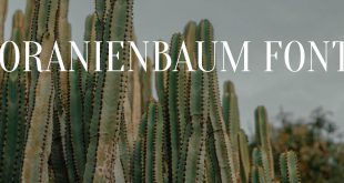 ORANIENBAUM FONT 310x165 - Oranienbaum Font Free Download