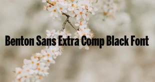 Benton Sans Extra Comp Black Font 310x165 - Benton Sans Extra Comp Black Font Free Download