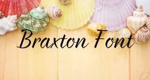 Braxton Font 310x165 - Braxton Font Free Download