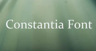 Constantia Font 310x165 - Constantia Font Free Download