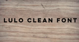 Lulo Clean Font 310x165 - Lulo Clean Font Free Download