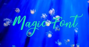 Magic Font 310x165 - Magic Font Free Download