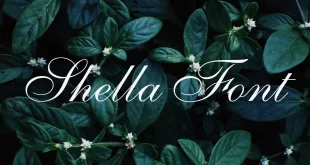 Shella Font 310x165 - Shella Clean Font Free Donwload