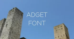 adget font feature 310x165 - Adget Sans Font Free Download