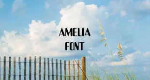 Amelia Font