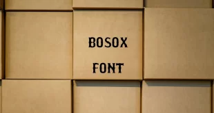 bosox font feature 310x165 - Bosox Font Free Download